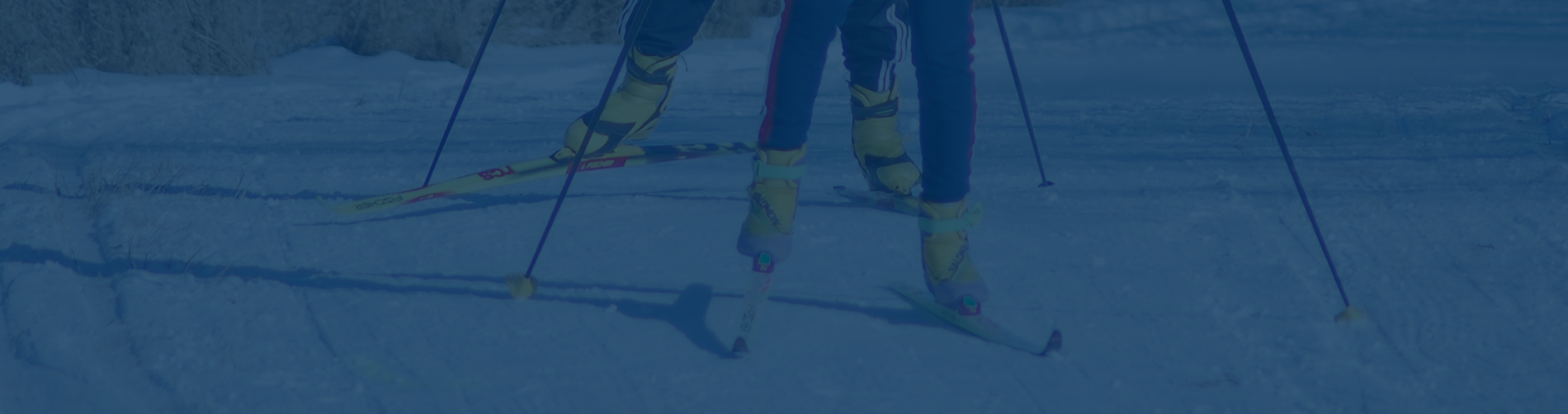 Cross Country Skiing